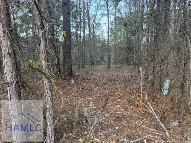 0 Pelican Cove Road, Midway, GA 31320 - #3