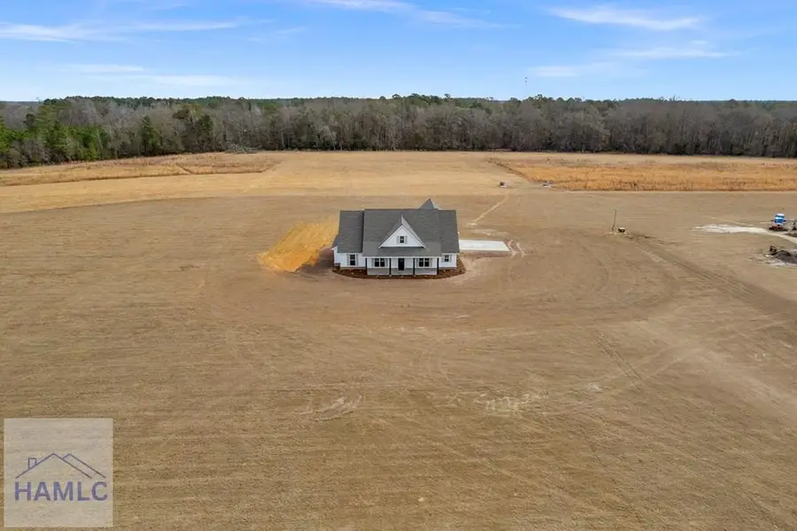 3514 Highway 121, Blackshear, GA 31516 - #2