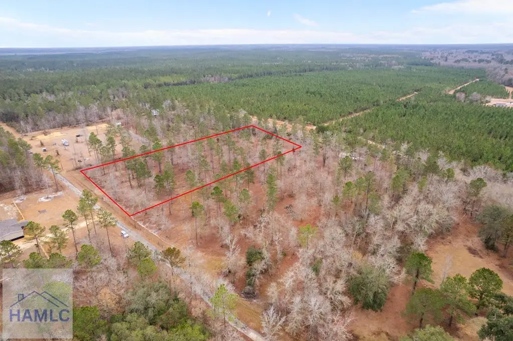 Tract 2 Loggan Lane, Jesup, GA 31546 - #1