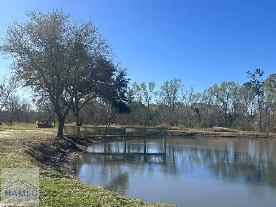 101 Shirley Lane, Glennville, GA 30427 - #3