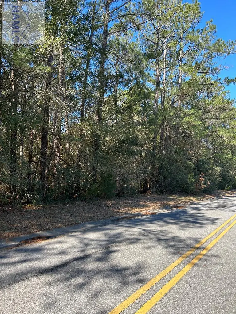 Lot 4 Palm Island Drive, Midway, GA 31320 - #1