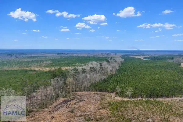 0 Highway 121, Glennville, GA 30427