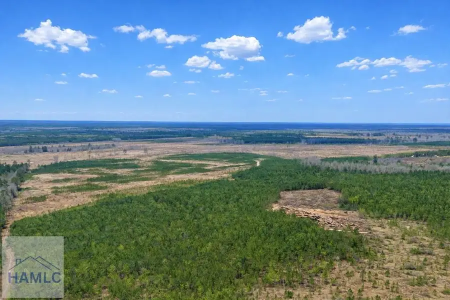 0 Highway 121, Glennville, GA 30427 - #2