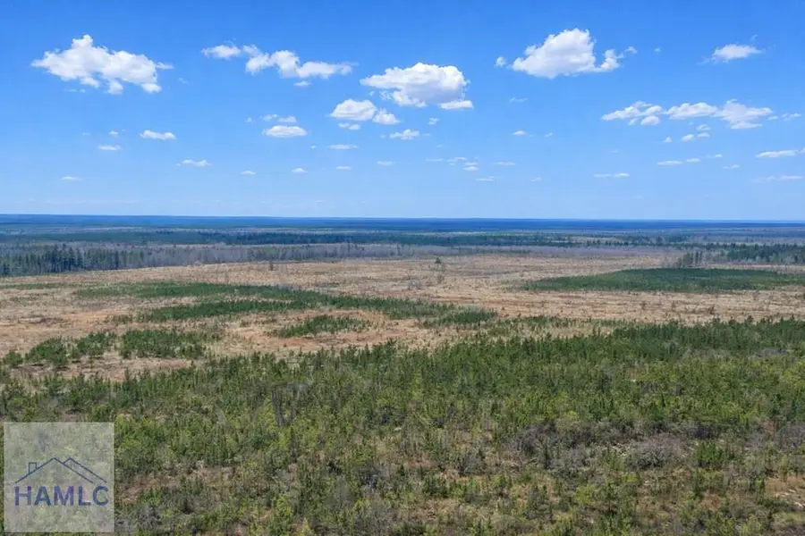 0 Highway 121, Glennville, GA 30427 - #3