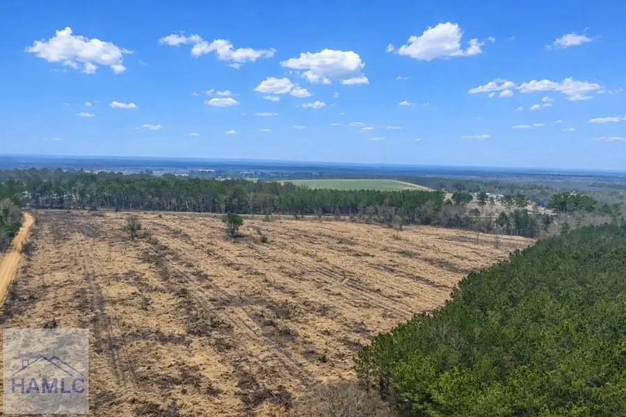 0 Highway 144, Glennville, GA 30427 - #3