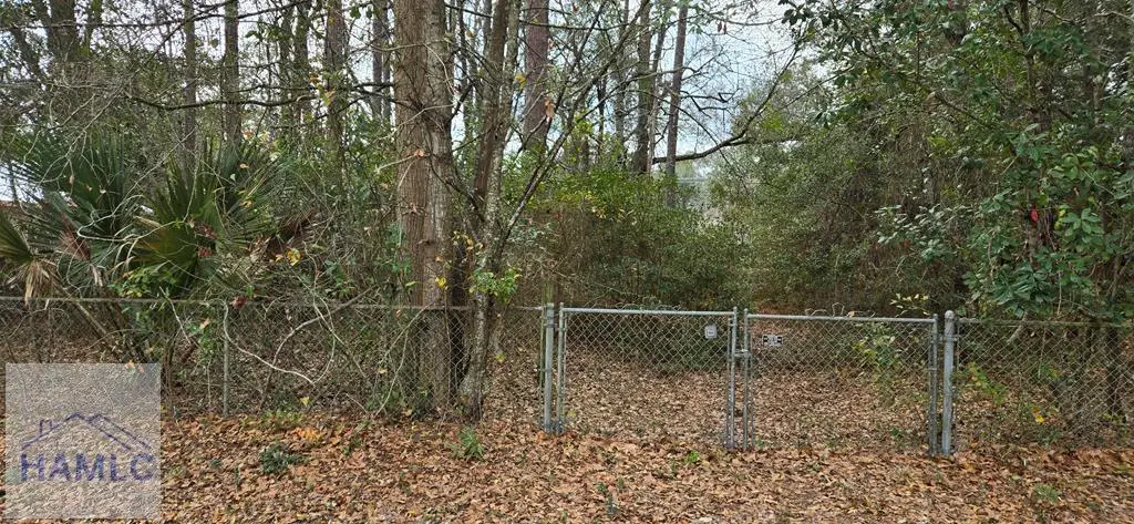 0 Elizabeth Street, Hinesville, GA 31313 - #1