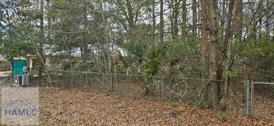 0 Elizabeth Street, Hinesville, GA 31313 - #2