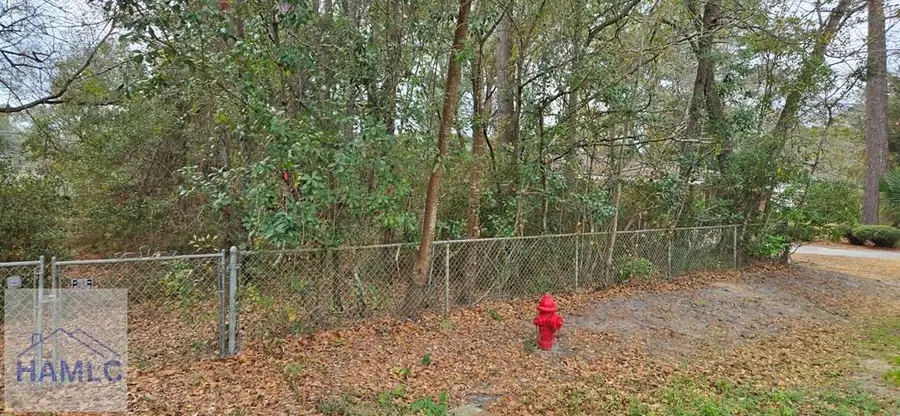 0 Elizabeth Street, Hinesville, GA 31313 - #3
