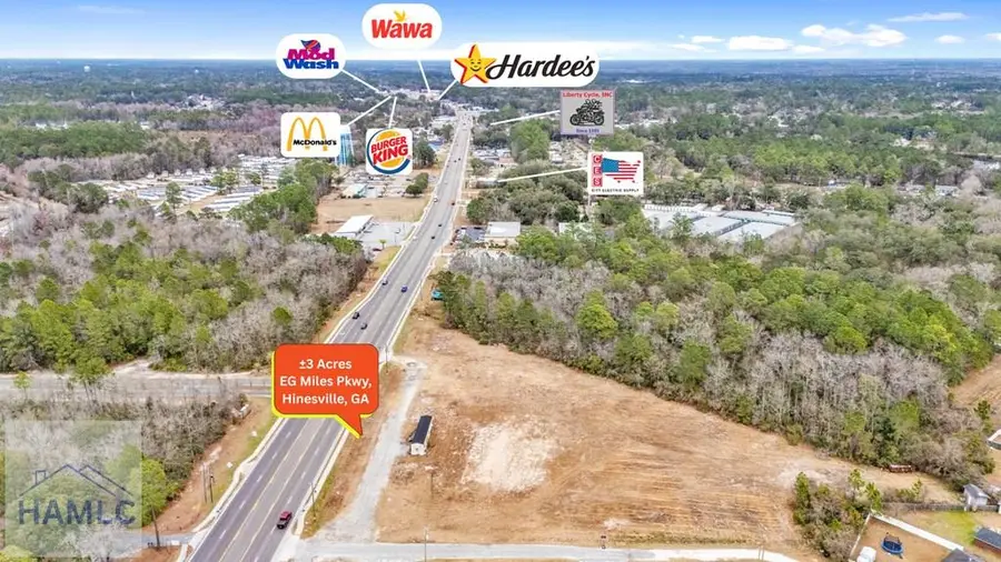 3 Acres E.g. Miles Parkway, Hinesville, GA 31313 - #3