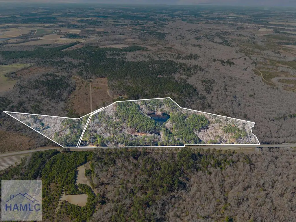 22701 Highway 129, Cobbtown, GA 30420 - #1