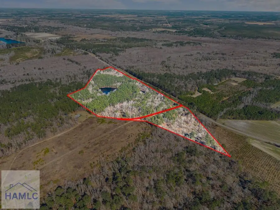 22701 Highway 129, Cobbtown, GA 30420 - #3