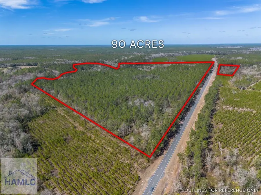 12321 Highway 185, Saint George, GA 31562 - #2