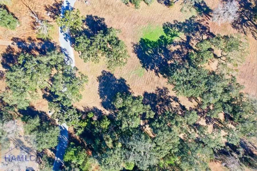 Lot 28 Bermuda Bluff Lane, Midway, GA 31320 - #2