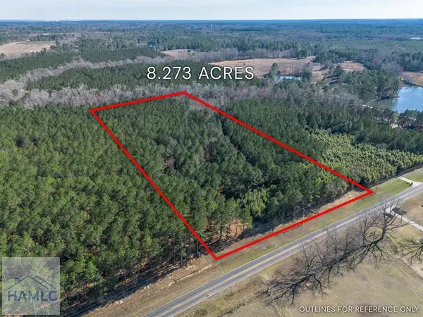 Lot 1 Ben Giddens Road, Eastman, GA 31023