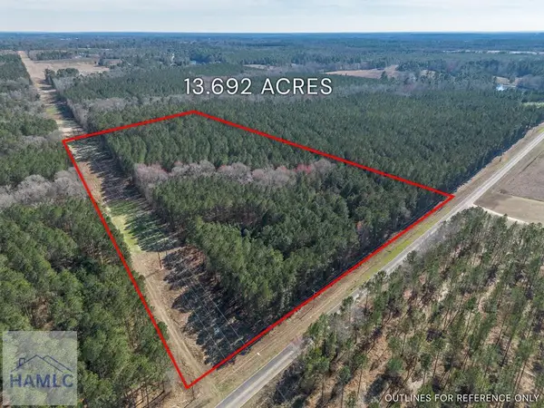 Lot 4 Ben Giddens Road, Eastman, GA 31023