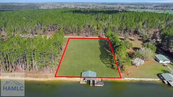 00 Jimmie Ree Lane, Bristol, GA 31518