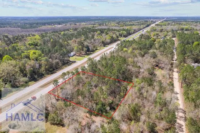0 Highway 84, Ludowici, GA 31316 - #1