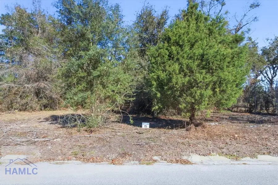 Lot 15 Bermuda Bluff Lane, Midway, GA 31320 - #3