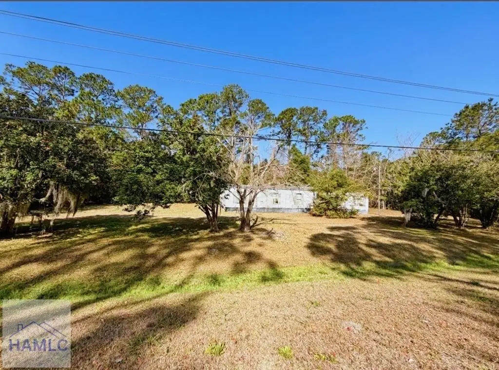 15026 Ga Hwy 99, Darien, GA 31305 - #1