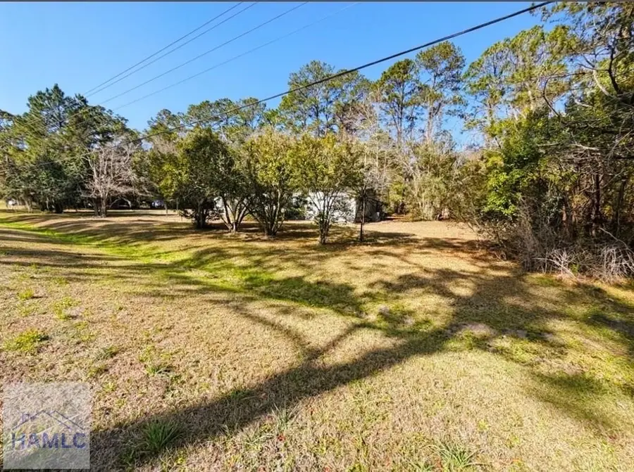 15026 Ga Hwy 99, Darien, GA 31305 - #2