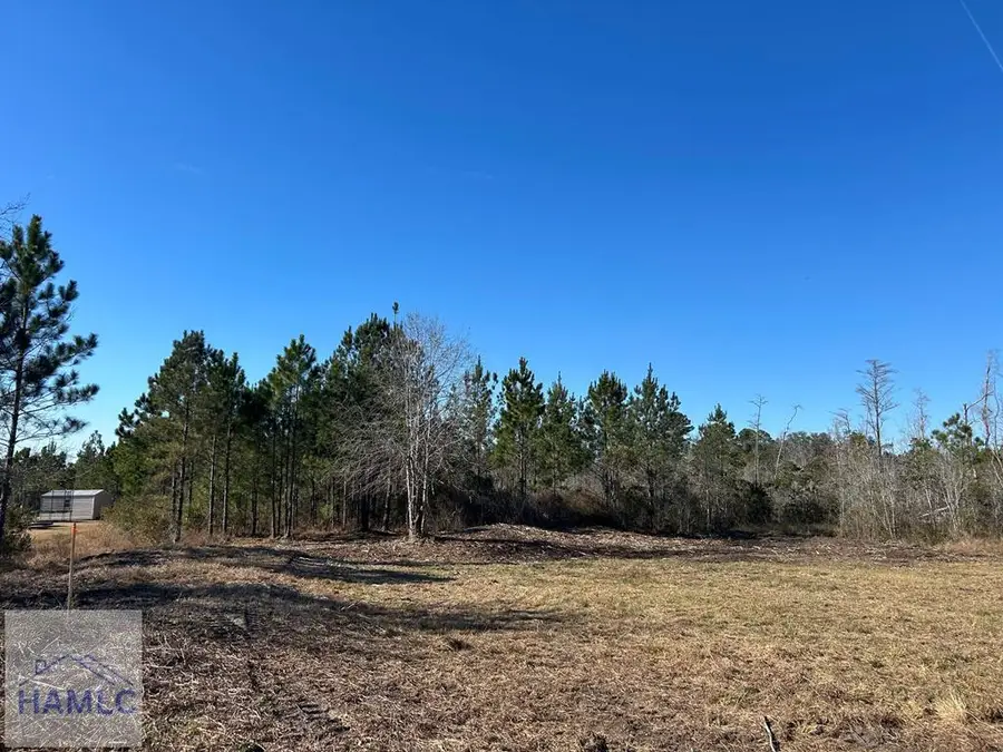 Lot 12 Firetower Road, Ludowici, GA 31316 - #3