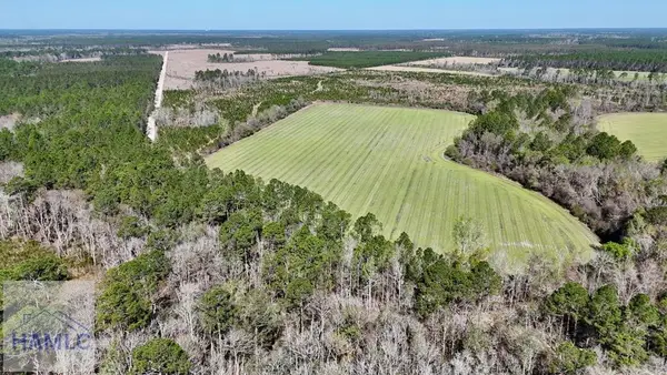 Tract 6 Ingram Road, Odum, GA 31555