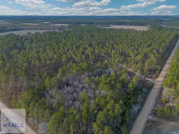 Tract 5 Reddish Road, Odum, GA 31555