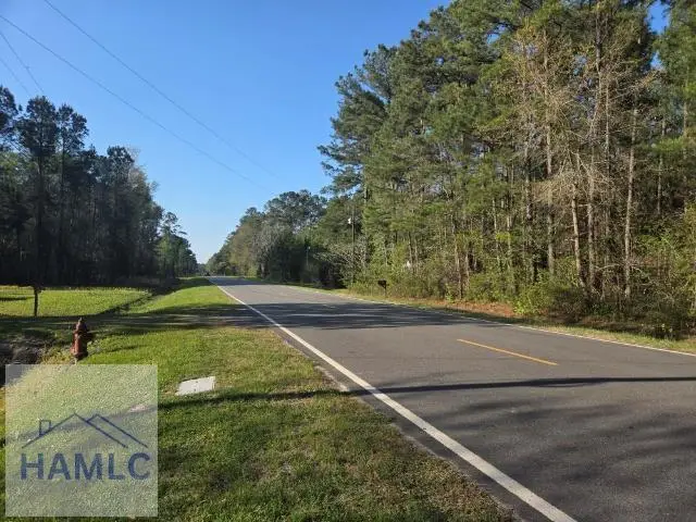 0000 Bill Carter Road, Midway, GA 31320 - #1