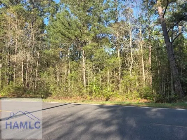 0000 Bill Carter Road, Midway, GA 31320 - #2