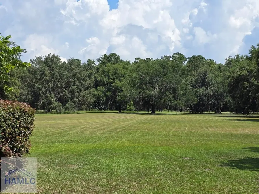 485 Lake Pamona Road, Midway, GA 31320 - #2