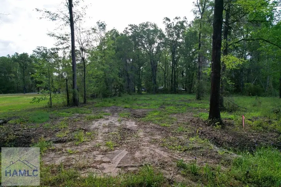 402 Altamaha Park Road, Brunswick, GA 31525 - #3