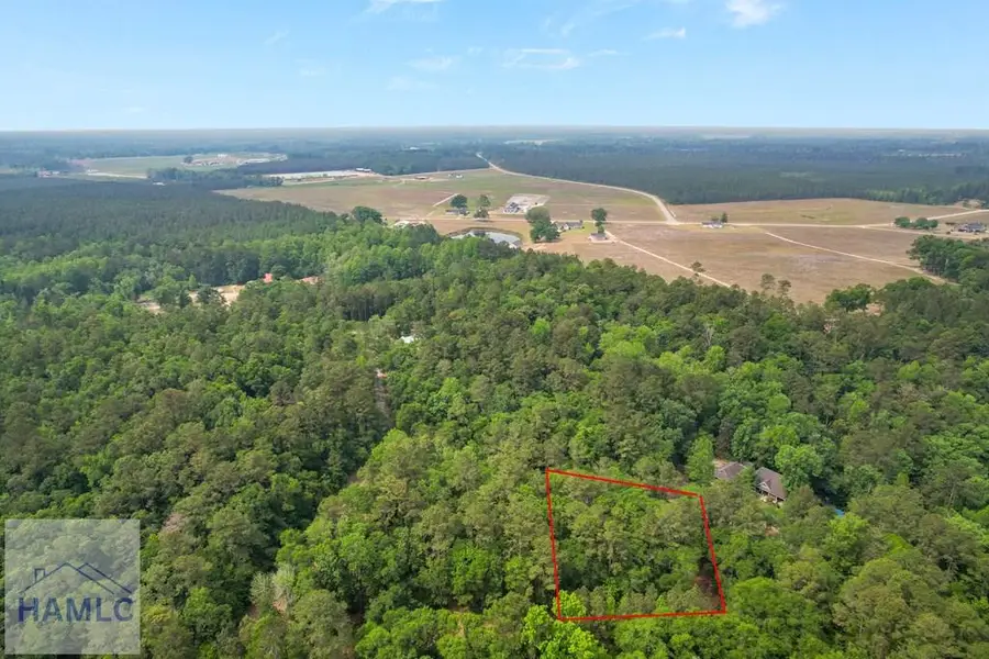Lot 12 Moss Landing, Jesup, GA 31545 - #3