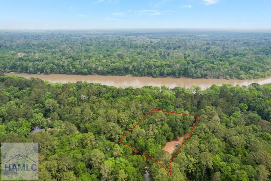 Lot 13 Moss Landing, Jesup, GA 31545 - #2
