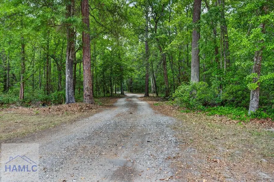 34 Barrett Cemetery Road Ne, Ludowici, GA 31316 - #3