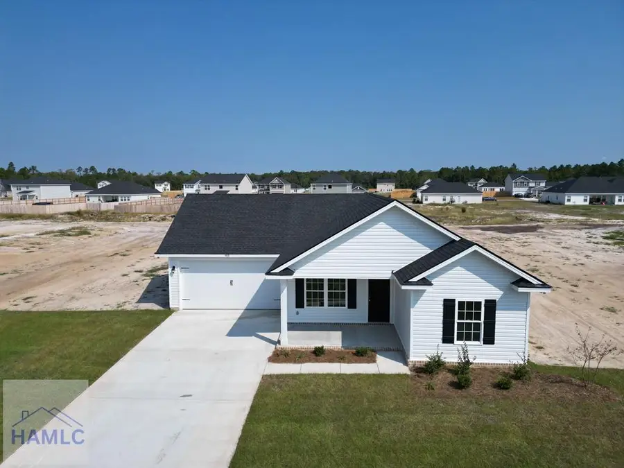 166 Freshwater Lane, Ludowici, GA 31316 - #2