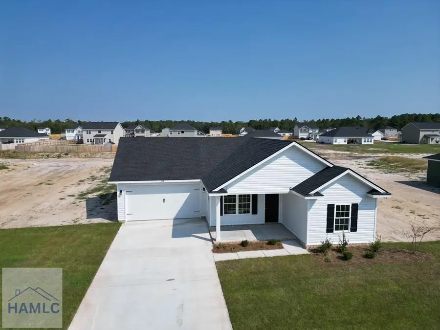 166 Freshwater Lane, Ludowici, GA 31316 - #3