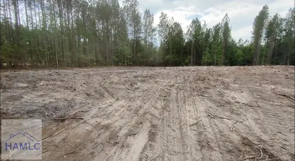 1 Firetower Road, Ludowici, GA 31316