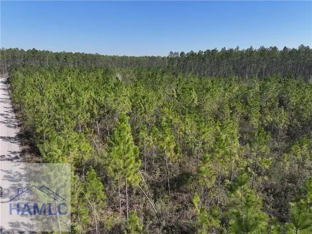 Tract 6 Bennett Mill Pond Road, Jesup, GA 31545 - #2