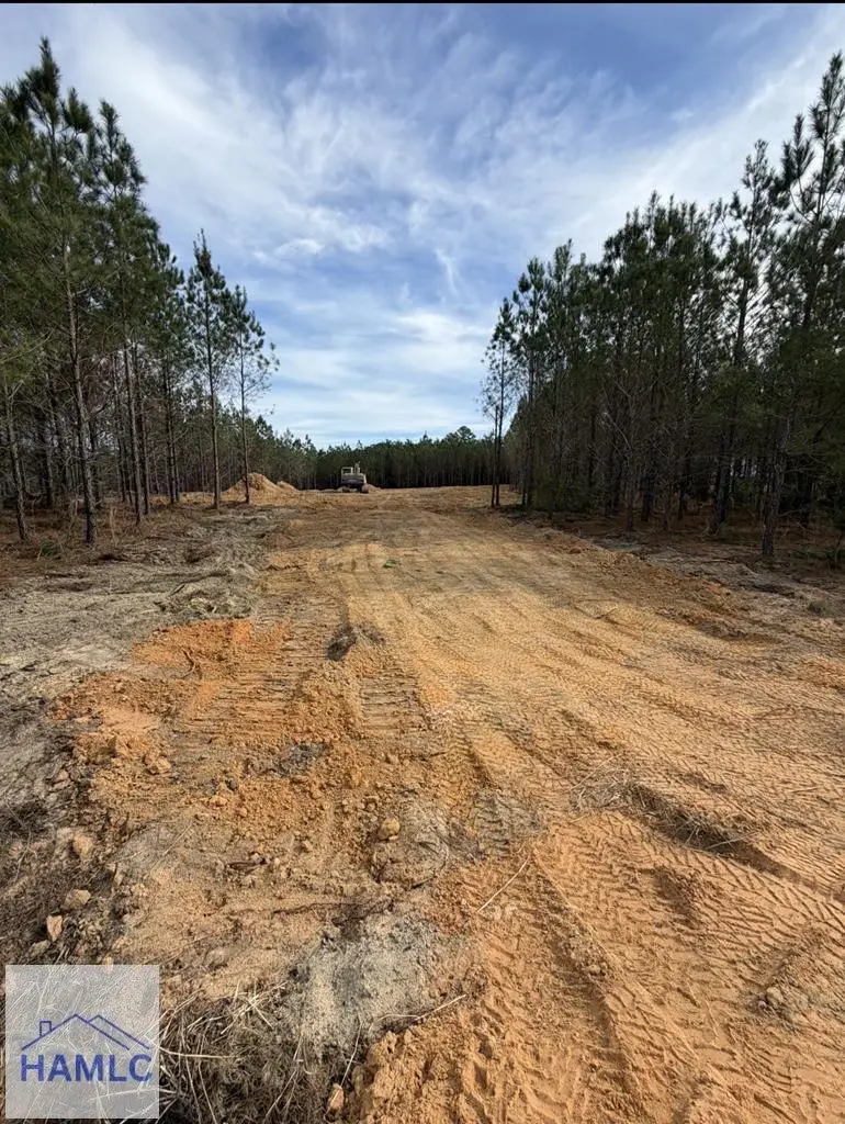 1410 Penny Morris Road, Baxley, GA 31513 - #1