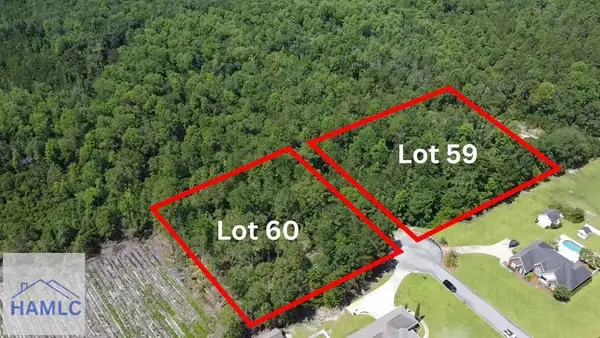 113 Vixenhill Drive, Jesup, GA 31546