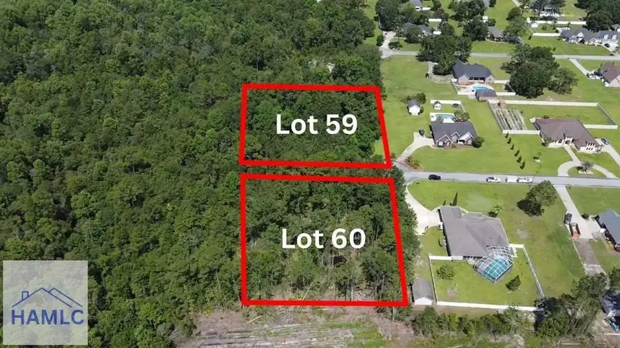 113 Vixenhill Drive, Jesup, GA 31546 - #2