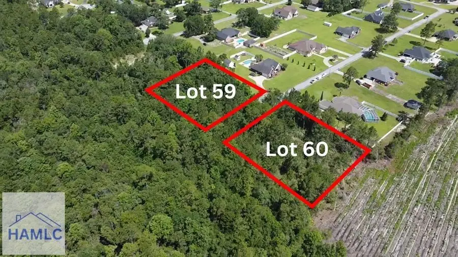 113 Vixenhill Drive, Jesup, GA 31546 - #3