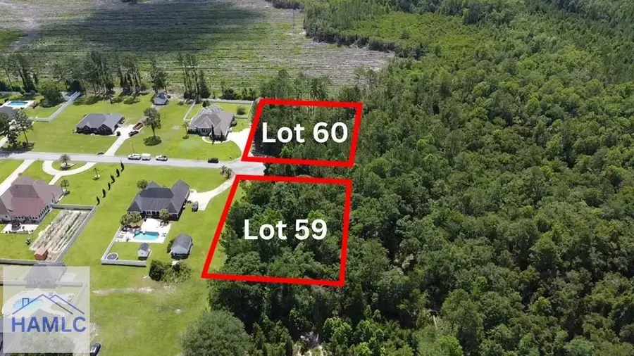 112 Vixenhill Drive, Jesup, GA 31546 - #2