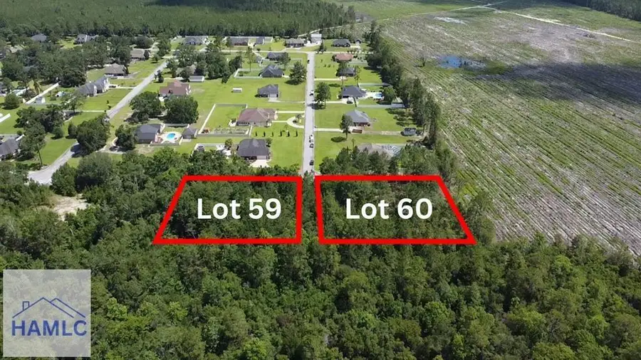 112 Vixenhill Drive, Jesup, GA 31546 - #3