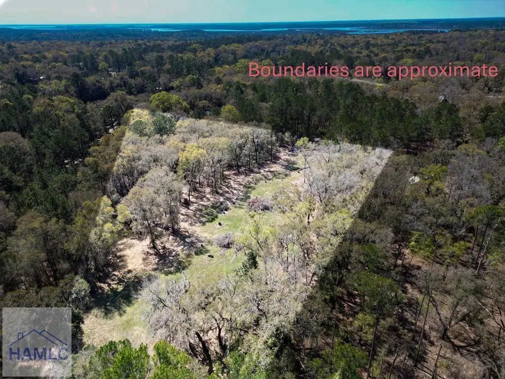 2.33 Ac Trade Hill Road, Midway, GA 31320 - #1