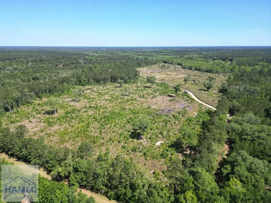 1849 Leroy Coffer Highway, Midway, GA 31320 - #2