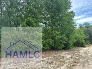 4.55 Ac River Ridge Drive, Reidsville, GA 30453 - #1