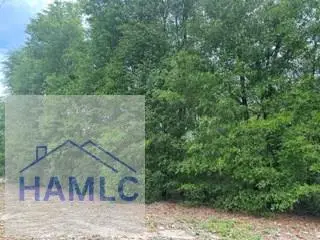 4.55 Ac River Ridge Drive, Reidsville, GA 30453 - #3