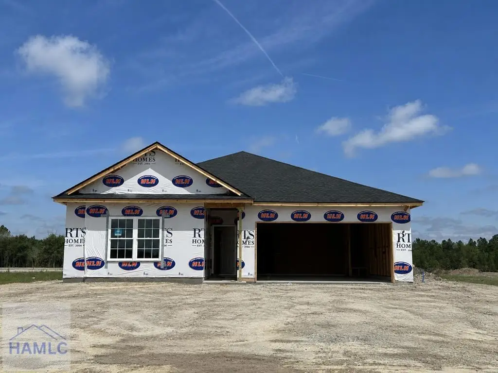 854 Doctor's Creek Road Ne, Ludowici, GA 31316 - #1