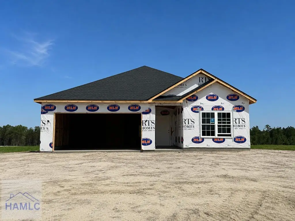 834 Doctor's Creek Road Ne, Ludowici, GA 31316 - #1